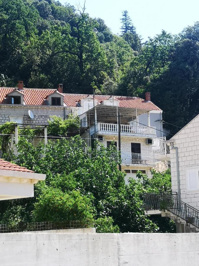 Apartment House Of Artichoke With Amazing Sea View, Dubrovnik Mokošica Exterior foto